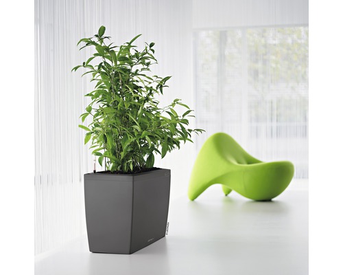 Čtvercový květináč se zelenou rostlinou a zelenou židlí v pozadí