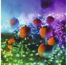 Halloweenská scéna s dýněmi a ozdobným osvětlením venku.