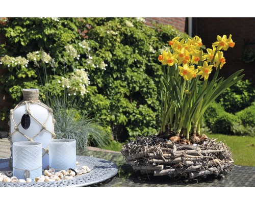 Dekorativní scéna s narcisy v dřevěném hnízdě, skleněná láhev se šňůrovou ozdobou a lucerny na podnosu