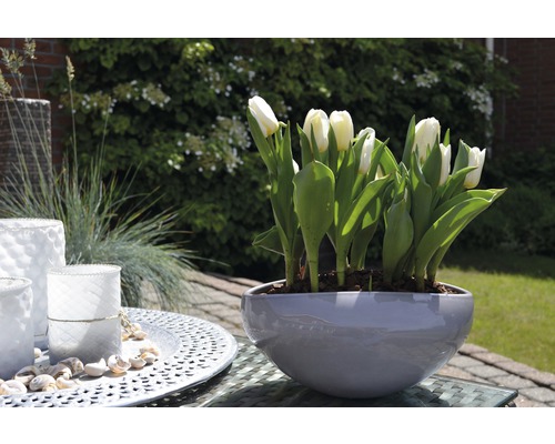 Bílé tulipány v šedém květináči na venkovním stole, obklopené dekoracemi