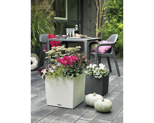 Dekorativní zahradní scéna s bílými a tmavými květináči osázenými květinami a dýněmi v popředí.