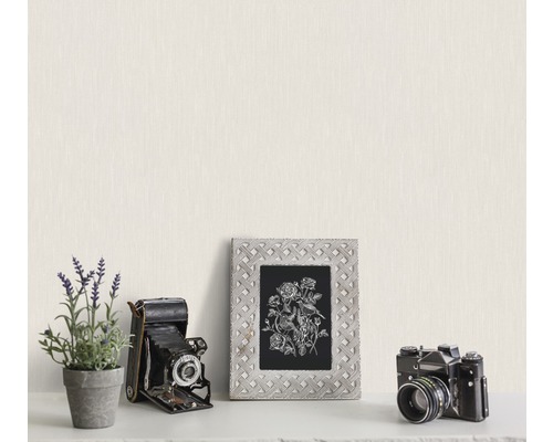 Dekorativní scéna s rámem, květinami a fotoaparáty na polici