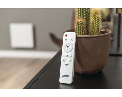 Dálkové ovládání topení Eurom vedle kaktusu v květináči