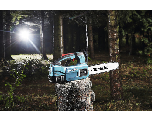 Řetězová pila Makita na pařezu ve stromovém lese