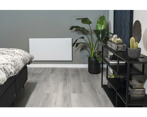 Obývací pokoj s topením, postelí, rostlinou a regálem