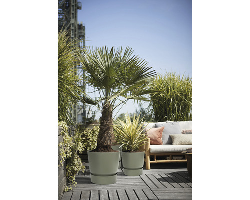 Scéna s rostlinami v květináčích na terase