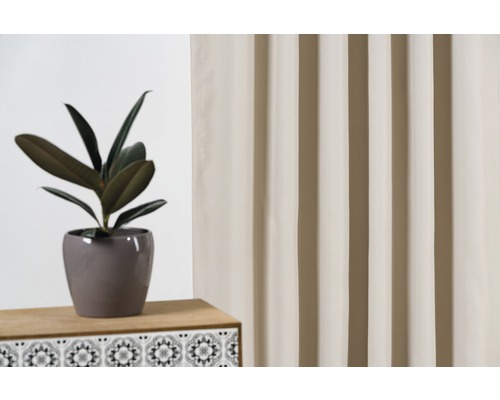 Dekorativní pokoj se závěsem a fíkovníkem pryžodárným v květináči