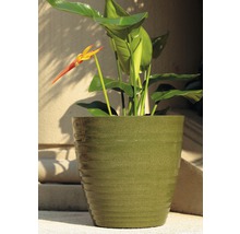 Květináč plastový Lafiora Tuberose Ø 30,3 x 28,8 cm zelený