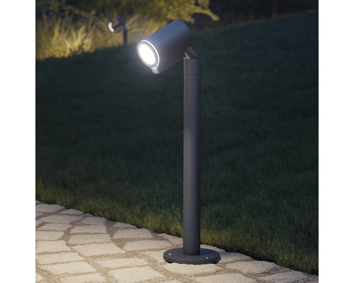 Zahrada s patníkovou lampou pro osvětlení cest a rostlin