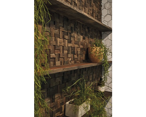 Nástěnná dekorace s dřevěnými panely a policemi zdobenými rostlinami.