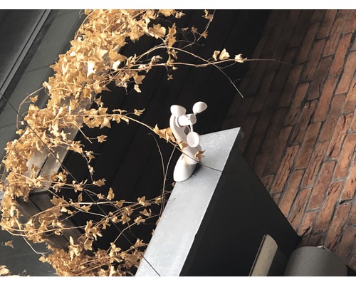 Větrná korouhvička na budově s cihlovou zdí a břečťanem