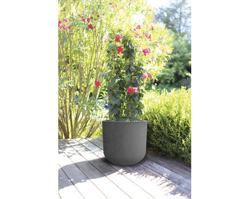 Květináč s kvetoucí rostlinou na dřevěné terase