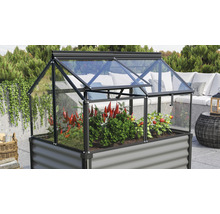 Pařeniště Vitavia Gaia Jumbo skleněné 3 mm 119 x 83 x 38/72 cm černé