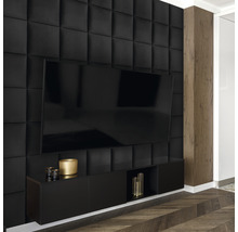 Obývací pokoj s černými akustickými stěnovými panely a televizním nábytkem