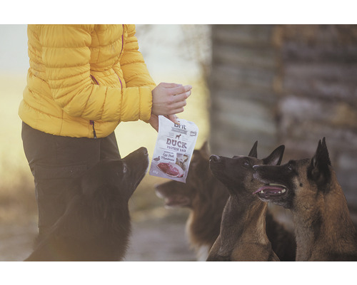Osoba krmí psy psími pamlsky Brit Duck Protein Bar.