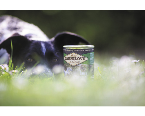 Konzerva krmiva pro psy Carnilove s kachnou v trávě se psem