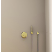 Sprchová hlavice Ideal Standard 25 x 25 mm zlatá BC774A2