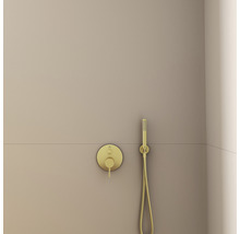 Sprchová hlavice Ideal Standard 25 x 25 mm zlatá BC774A2