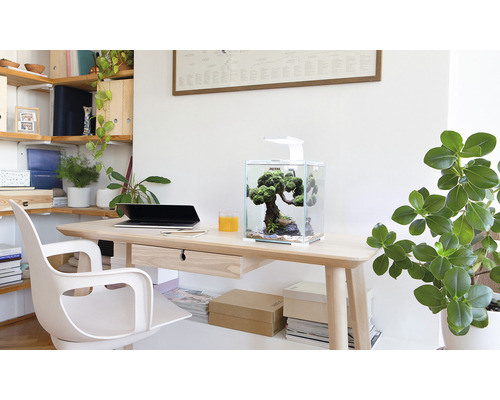 Pracovna se stolem, židlí a akváriem s osvětlením