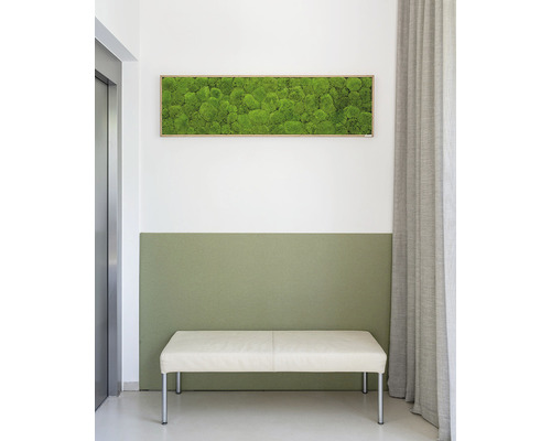 Interiér s mechovým obrazem na stěně, lavicí a závěsem