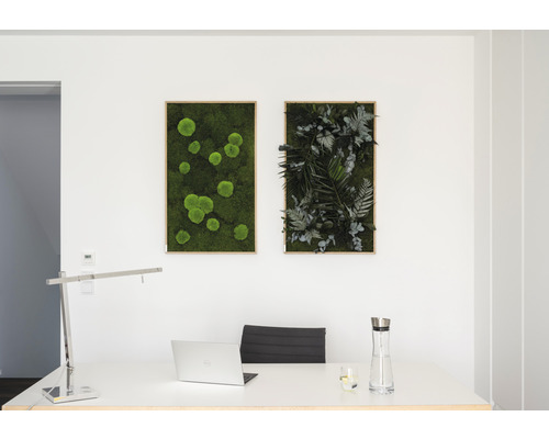 Kancelář se stolem, notebookem a dvěma nástěnnými obrazy s mechem a rostlinami