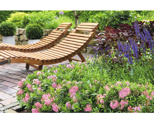 Dvě dřevěná lehátka v zahradě s květinami