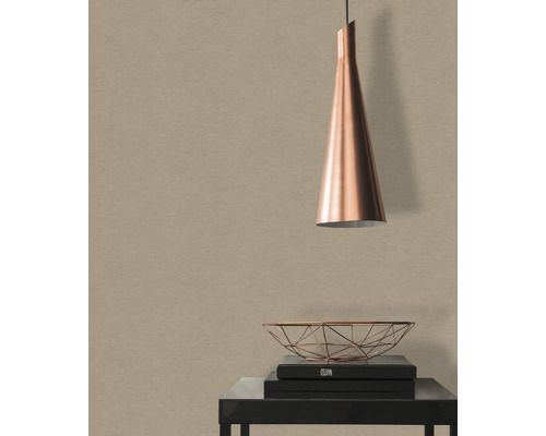 Obývací pokoj se závěsným svítidlem, mísou a knihami na stole před stěnou