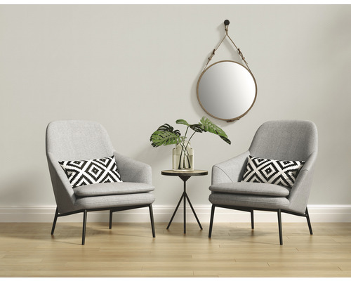 Obývací pokoj se dvěma křesly, odkládacím stolkem, zrcadlem a pokojovými rostlinami na ozdobu.