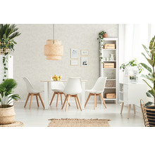 Světlá jídelna s jídelním stolem, židlemi, regály a pokojovými rostlinami pro přátelskou atmosféru.