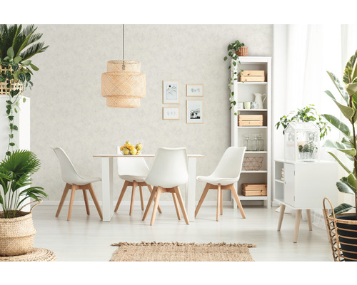 Světlá jídelna s jídelním stolem, židlemi, regály a pokojovými rostlinami pro přátelskou atmosféru.