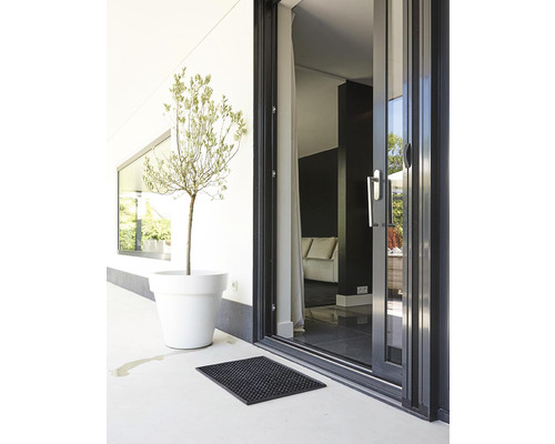Scéna s terasovými dveřmi, rostlinou v květináči a rohožkou.