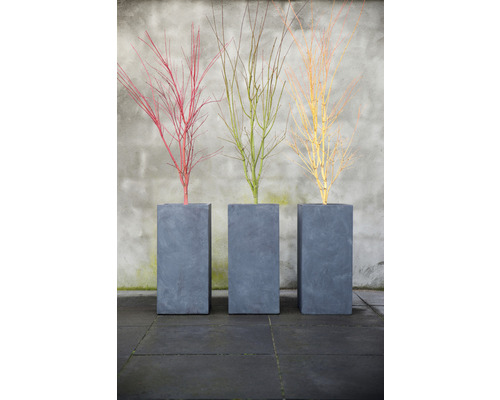 Tři štíhlé šedé květináče s okrasnými větvemi v červené, zelené a žluté barvě.