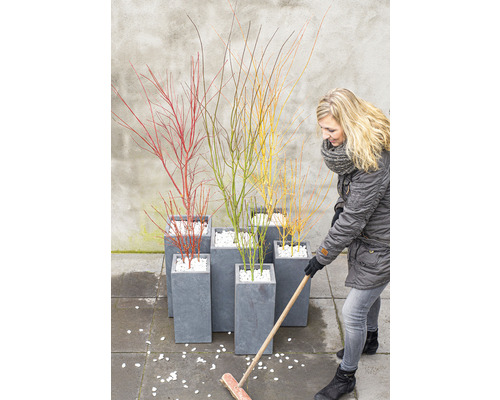 Žena zametá bílé oblázky vedle květináčů s barevnými okrasnými keři