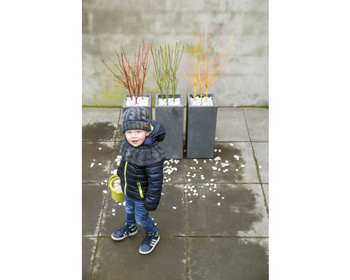 Dítě v zimním oblečení vedle tří osázených květináčů s okrasnými keři