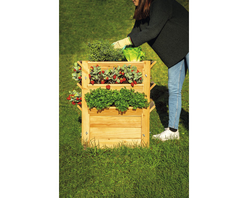 Dřevěný vyvýšený záhon s jahodami, salátem a bylinkami na zahradě