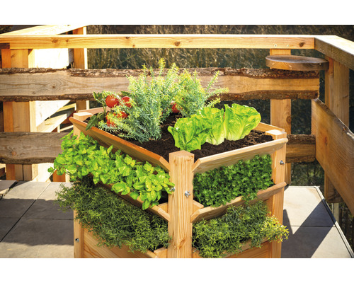 Dřevěný vyvýšený záhon s různou zeleninou na terase