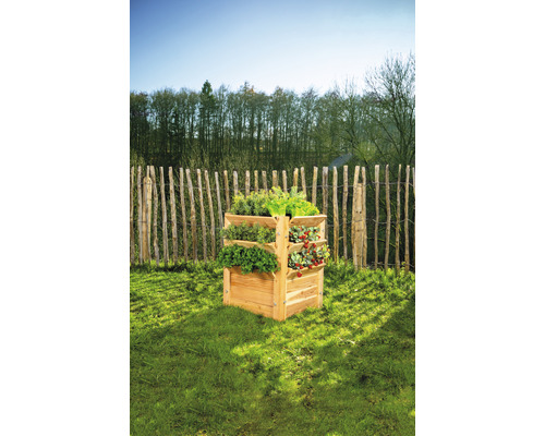 Dřevěný vyvýšený záhon s bylinkami a rostlinami na zahradě.