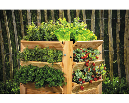 Dřevěný vyvýšený záhon s jahodami, salátem a bylinkami