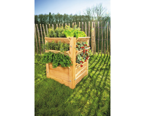 Dřevěný vyvýšený záhon s bylinkami a jahodami na zahradě