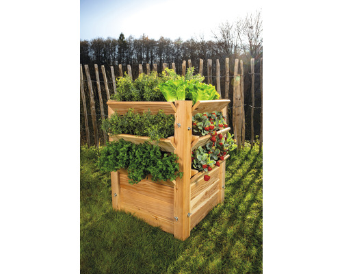 Dřevěný vyvýšený záhon s bylinkami, salátem a jahodami na zahradě