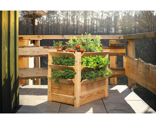 Dřevěný vyvýšený záhon s několika úrovněmi a různými bylinkami a zeleninou.