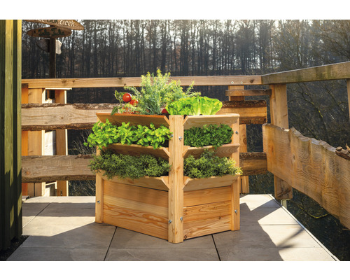 Dřevěný truhlík na rostliny se zeleninou na terase