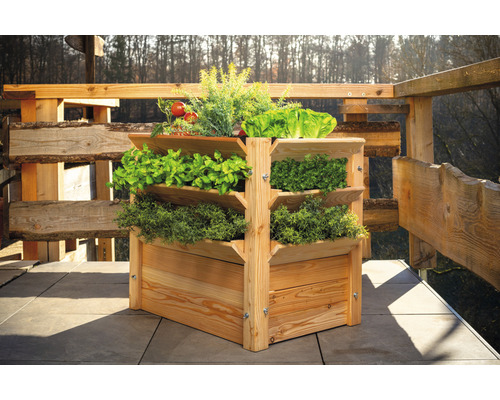 Dřevěný vyvýšený záhon s různými bylinkami a zeleninou