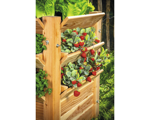 Dřevěný vyvýšený záhon s jahodami, salátem a bylinkami