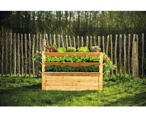 Dřevěný vyvýšený záhon se třemi úrovněmi a různou zeleninou na zahradě.