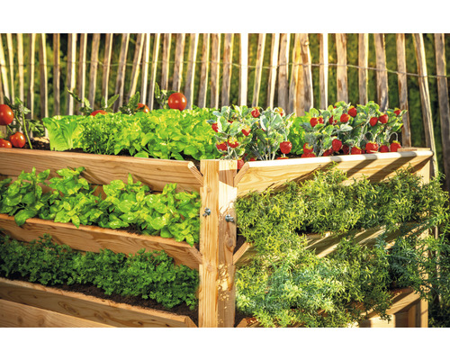 Zvýšený záhon se salátem, rajčaty, jahodami a bylinkami