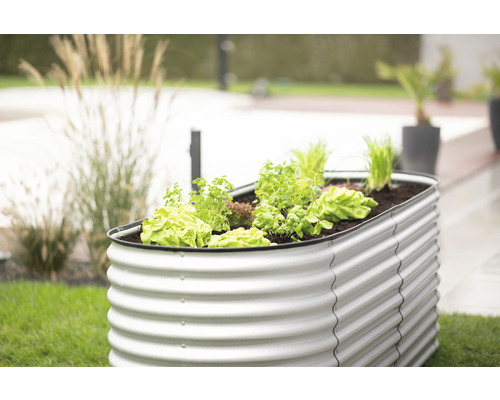 Kovový vyvýšený záhon se salátem a bylinkami na zahradě