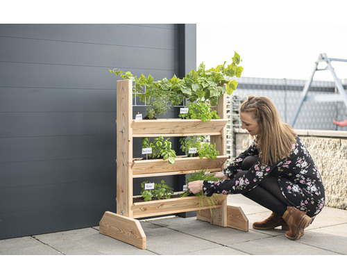 Žena sklízí bylinky z dřevěného bylinkového regálu na terase