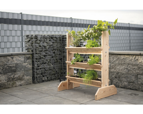 Dřevěný vyvýšený záhon s různými bylinkami na zahradě