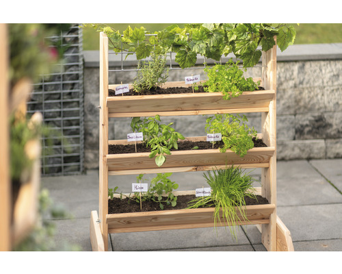 Dřevěný vyvýšený záhon s bylinkami a rostlinami